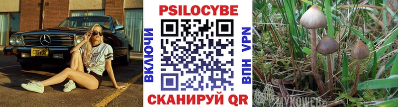 наркошоп  блэк спрут ТОР  Псилоцибиновые грибы Magic Shrooms  darknet клад  Мончегорск 